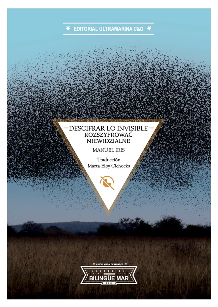 Deciphering the Invisible: ExplorDeciphering the invisible by deciphering the Tonal and Thematic Extremes in my Poetry