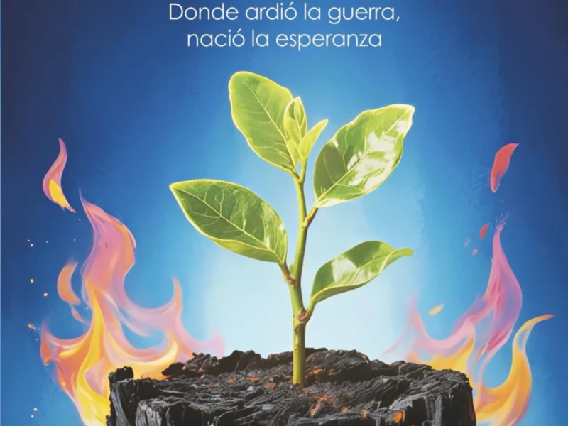 Nacido en fuego y fe Bernardo Brito libro sobre resiliencia y transformación espiritual